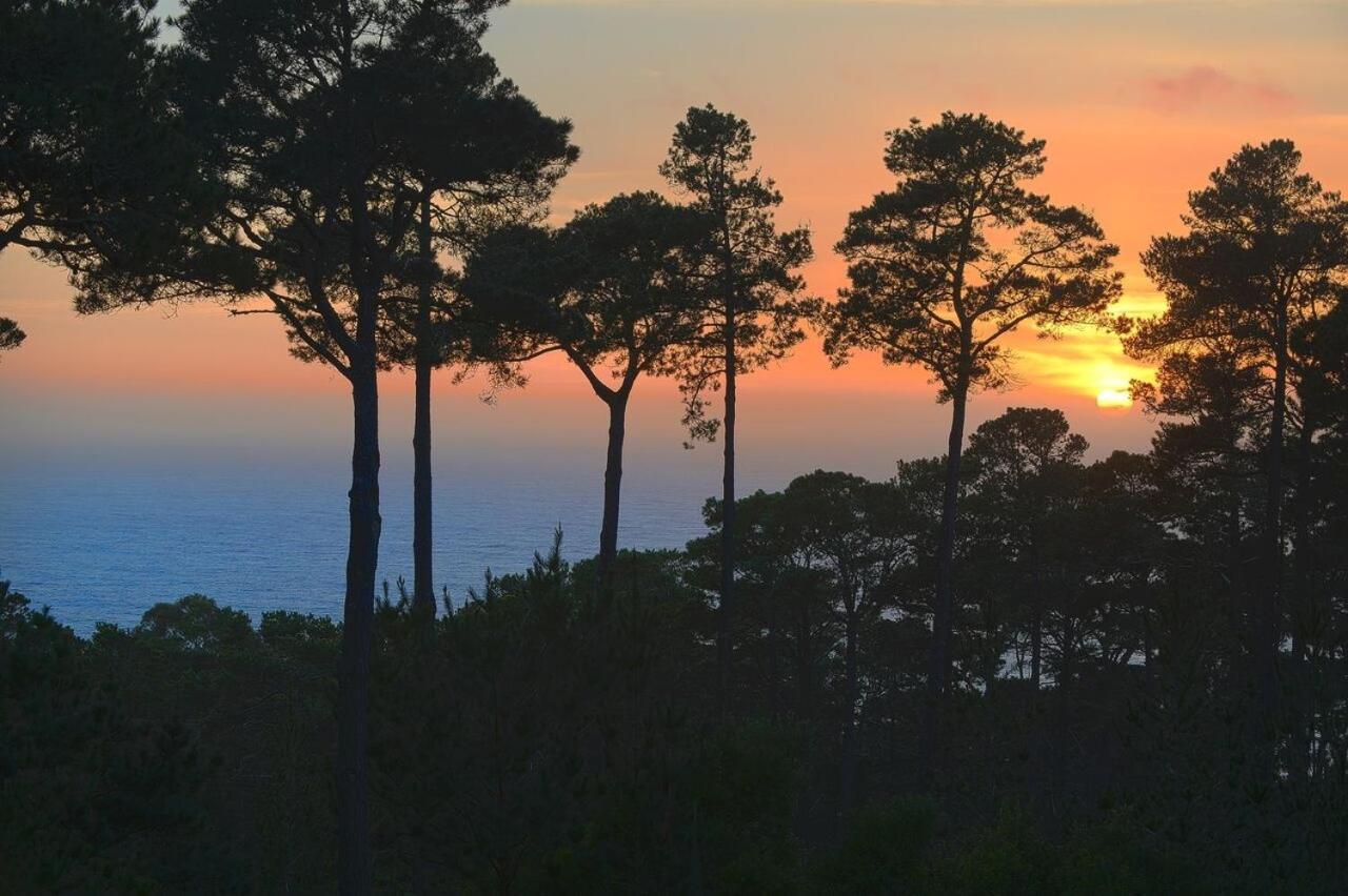 3707 Pacific'S Edge Sanctuary Home Carmel-by-the-Sea Екстериор снимка
