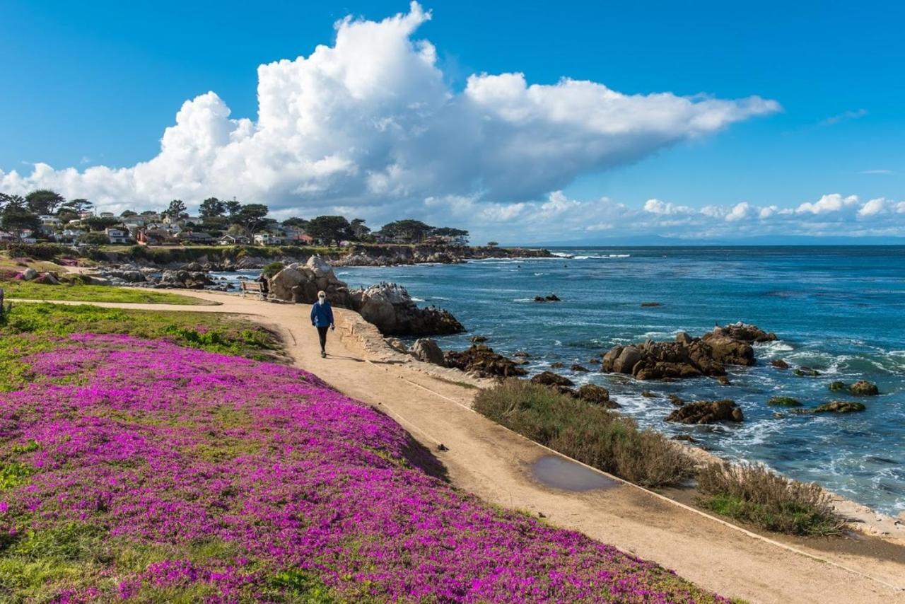 3707 Pacific'S Edge Sanctuary Home Carmel-by-the-Sea Екстериор снимка