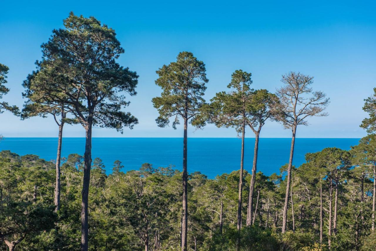 3707 Pacific'S Edge Sanctuary Home Carmel-by-the-Sea Екстериор снимка